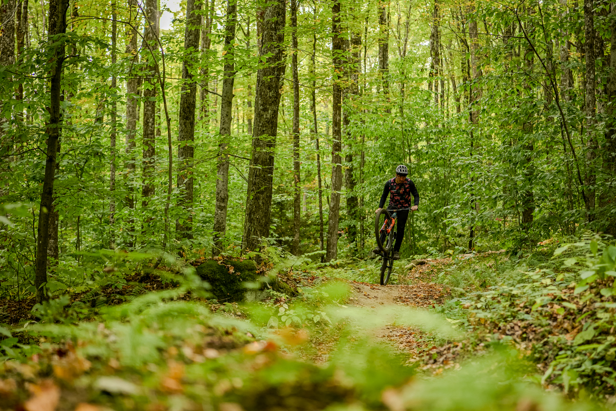 Author, Brice Shirbach, rides trail in a forest in Killington.