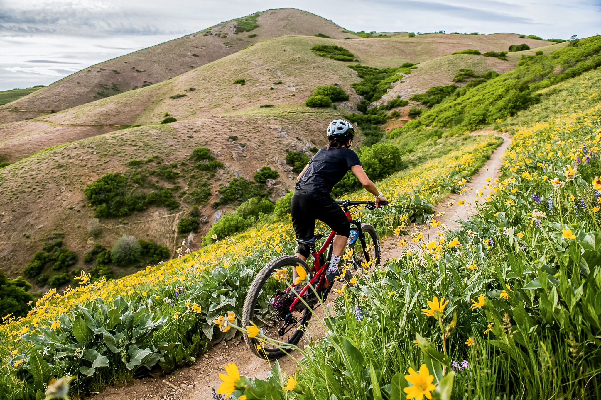biker on grassy mountain