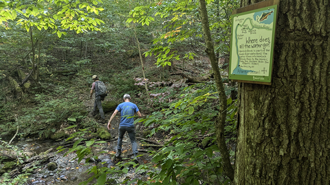 Two humans traverse through a mixed forest with a tree in the foreground displaying a handmade sign