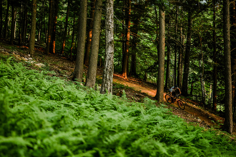Blog author Brice Shirbach rides through the forest in North Conway, NH.