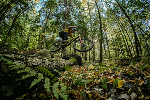 the author rides through a dense NH forest