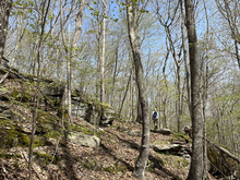 A forest with rocky outcroppings surround a lone trail planner.