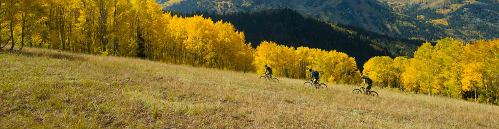 ScottMarekewitz20928_021_0143