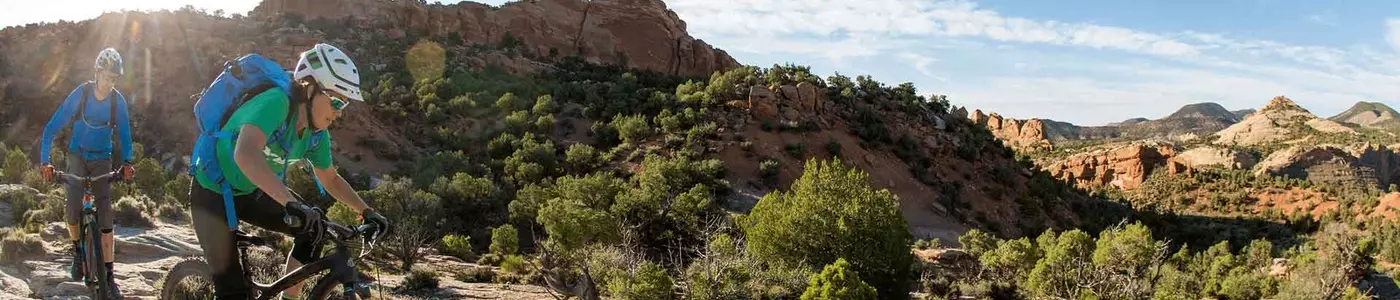 mountain biker riding in a field