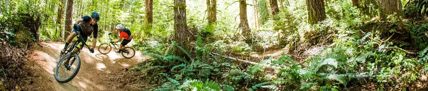 mountain biker riding in a field