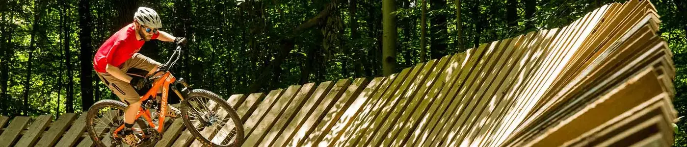 mountain biker riding in a field