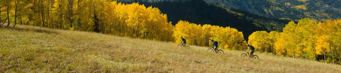 mountain biker riding in a field