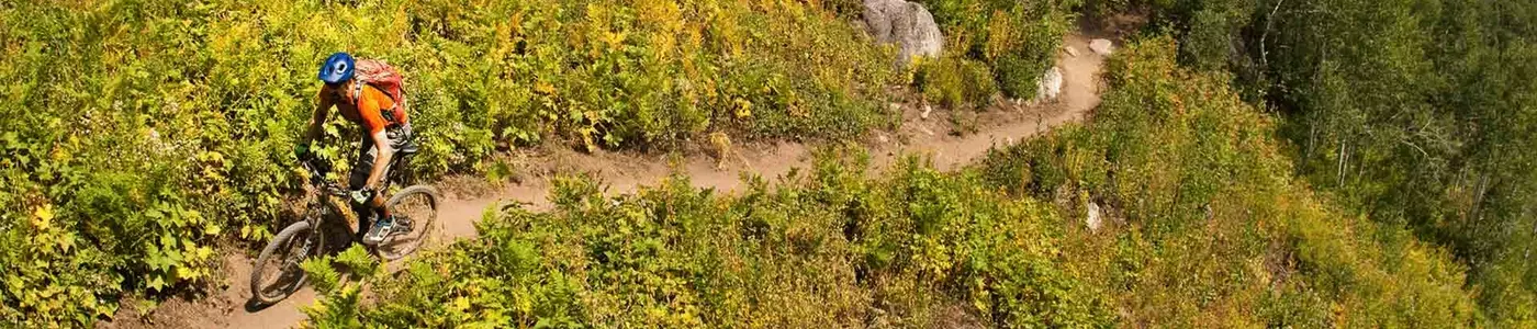mountain biker riding in a field