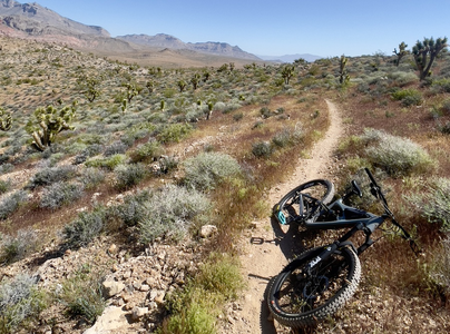 Mountain bike laying next to trail in Las Vegas, NV.