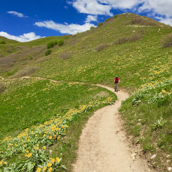 Dave riding mountain bike on the BST