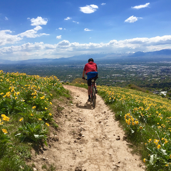 Person riding mountain bike on the BST, overlooking salt lake valley