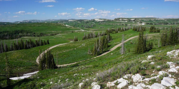 Green grass and winding trail of Skyline Drive, Utah.