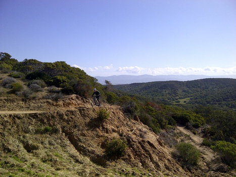 Mountain biker riding on single track in Fort Ord, surrounded by brown dirt and green hills. 