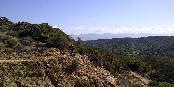 Mountain biker riding on single track in Fort Ord, surrounded by brown dirt and green hills. 