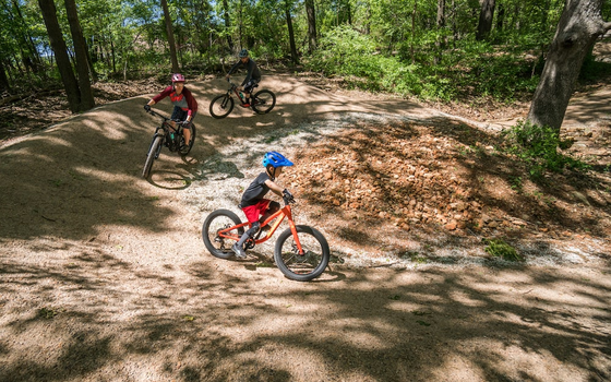 Family mountain biking