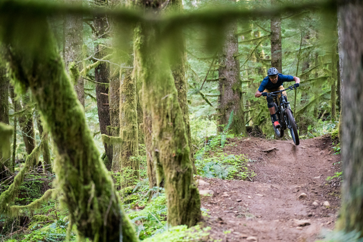 Person riding mountain bike on IMBA Trail Solutions built trail